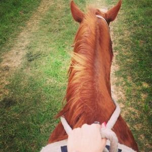 Meet your Posher, Rawand